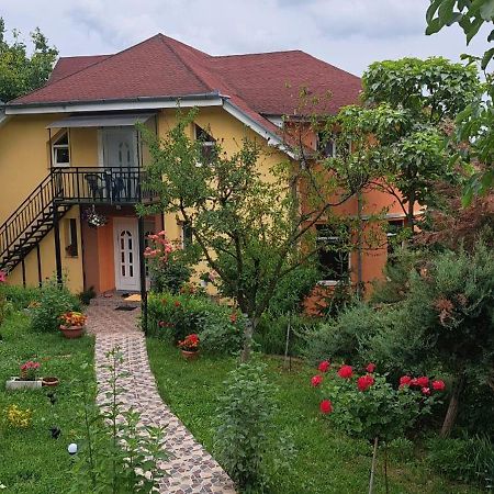 Отель Casa Liana Орадя Экстерьер фото
