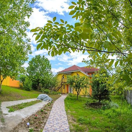 Отель Casa Liana Орадя Экстерьер фото