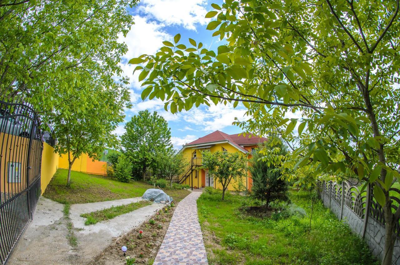 Отель Casa Liana Орадя Экстерьер фото